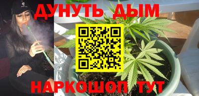 трава Краснодар