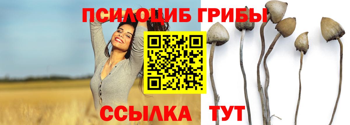 наркота  Вход с VPN  Изобильный  Псилоцибиновые грибы GOLDEN TEACHER 