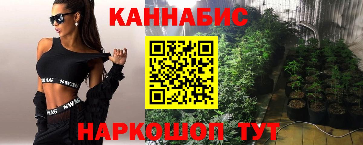 Бошки Шишки марихуана  Бошки Шишки планчик  Изобильный  Канабис MAZAR  Канабис Amnesia  Вход с VPN 
